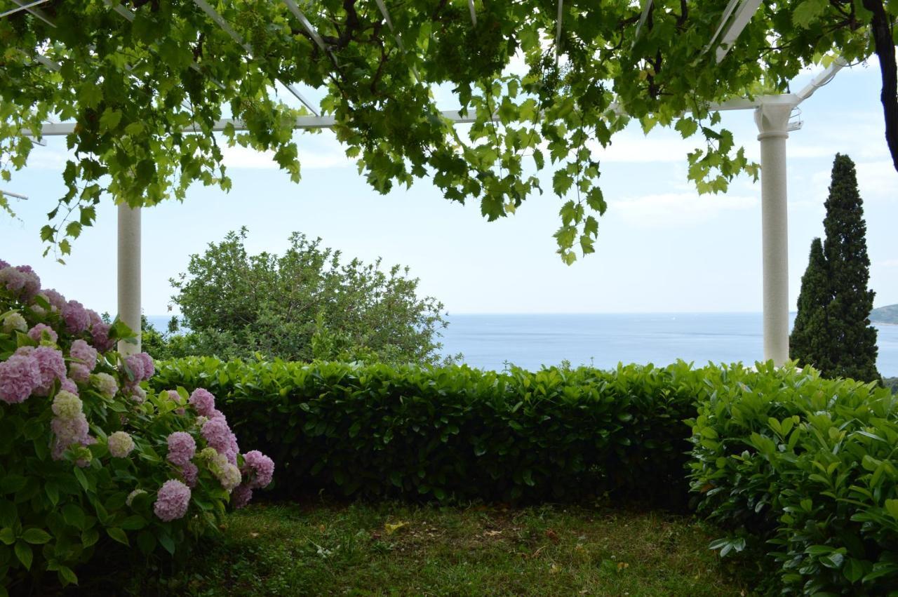 Apartments Spilan Mlini Dış mekan fotoğraf